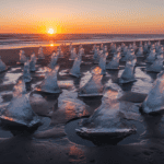 Kunst, die nur kurz existiert: Georgia Vertes über ephemere Werke und ihre Bedeutung